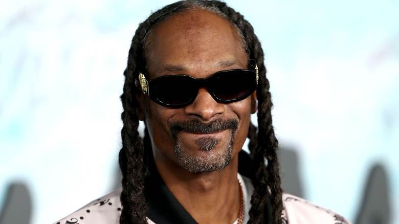 Snoop Dogg a-t-il trompé sa femme avec la star de RHOBH Brandi Glanville ?