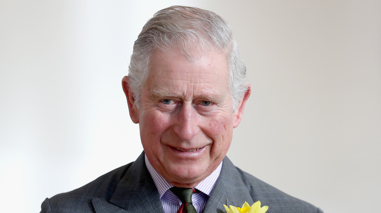 Le roi Charles participe à une cause caritative 2017