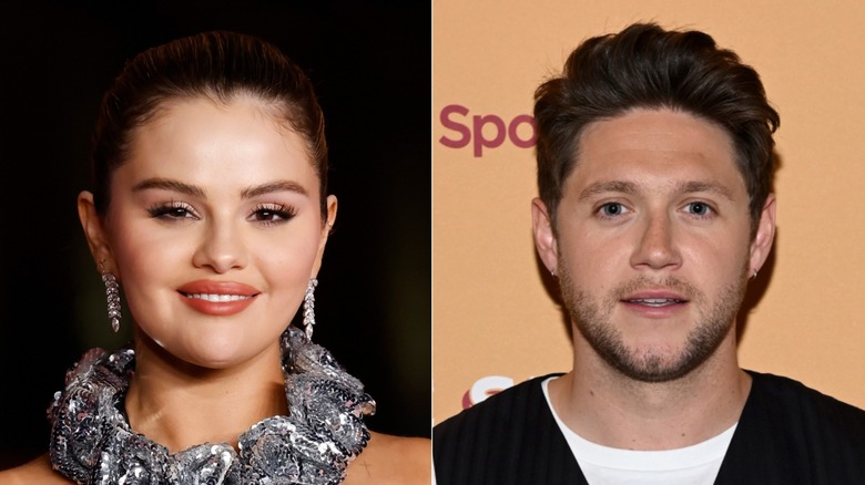 Image partagée de Selena Gomez et Niall Horan en gros plan