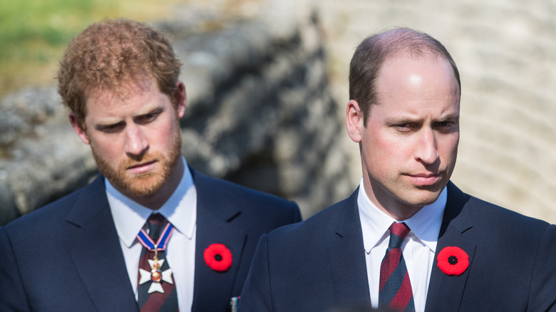 Prince Harry et Prince William