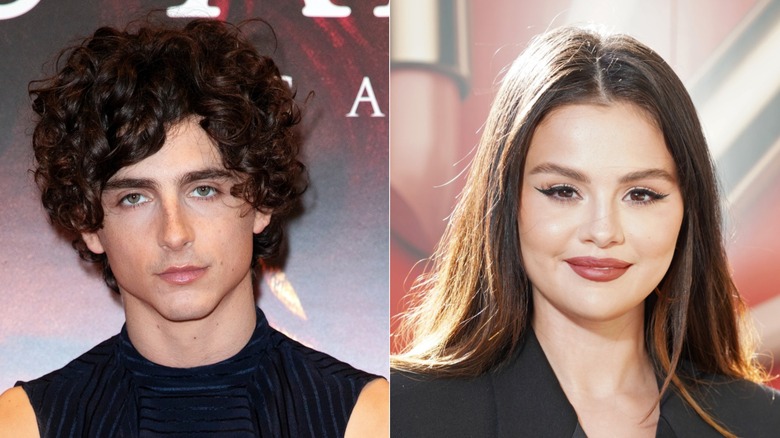 Timothée Chalamet et Selena Gomez côte à côte