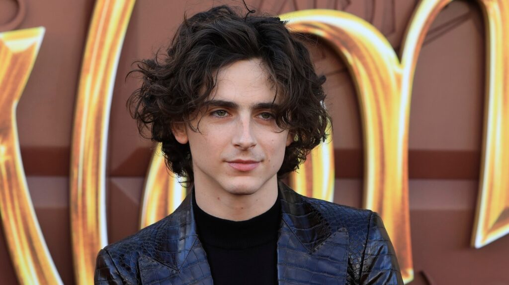 Que s'est-il passé entre Timothée Chalamet et Selena Gomez ?