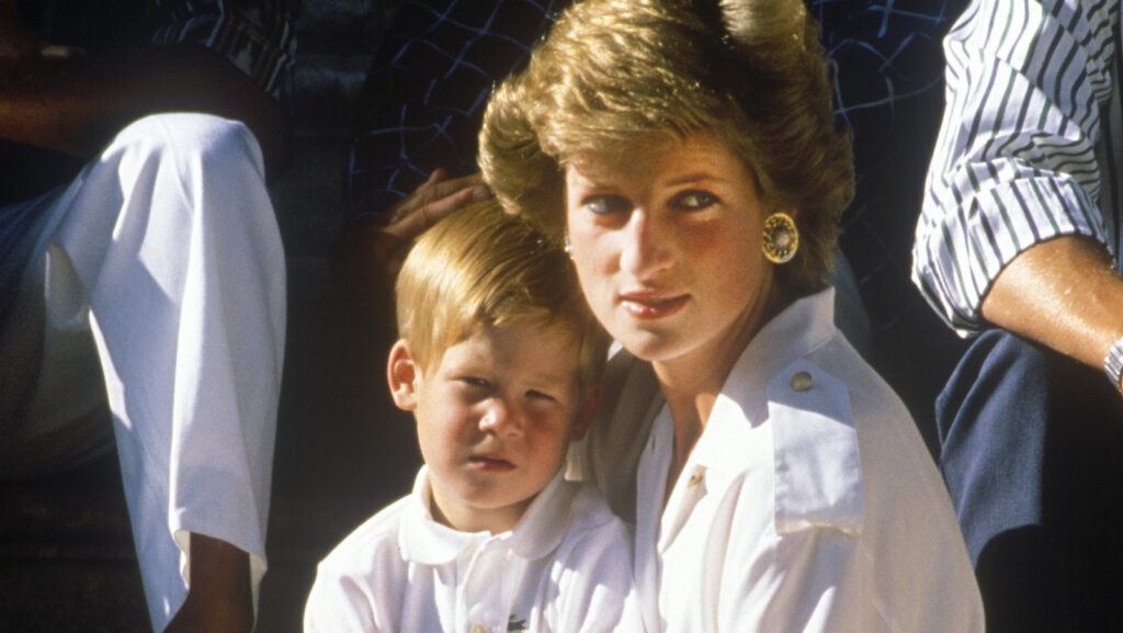 L'anniversaire de la princesse Diana nous rappelle à quel point la querelle entre William et Harry est devenue triste