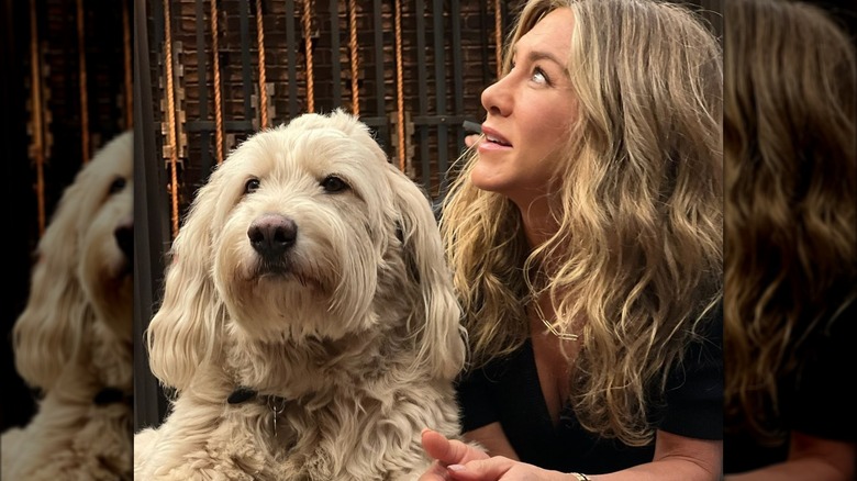 Jennifer Aniston avec son chien