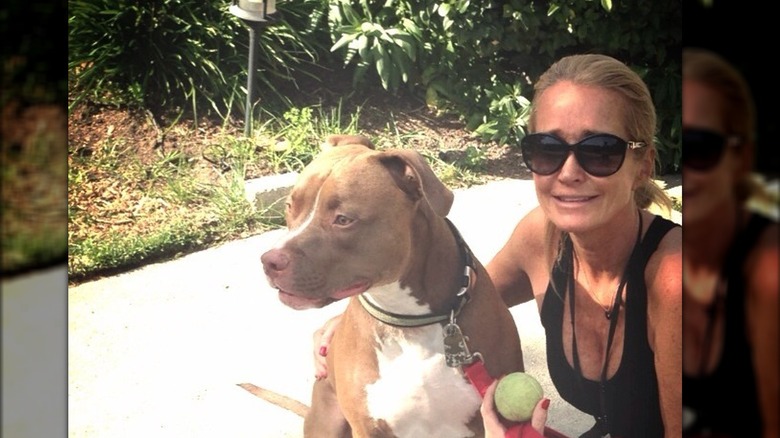 Kim Richards pose avec son pitbull