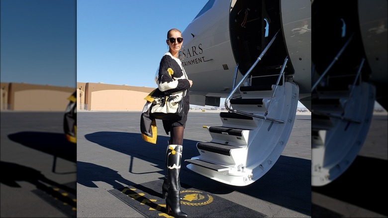 Céline Dion debout devant l'avion