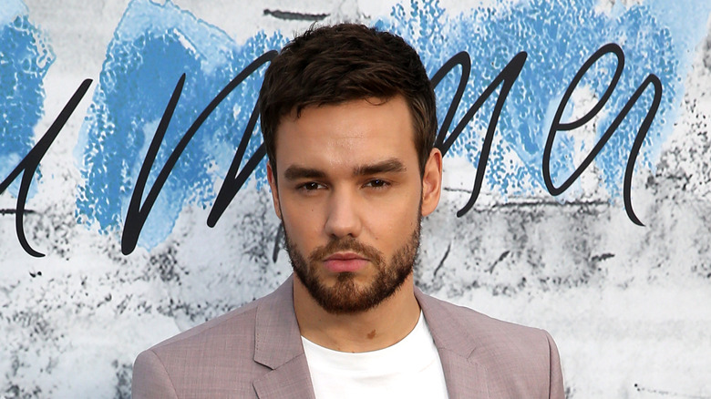 Liam Payne pose à la Summer Party 2019