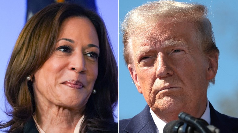 Image partagée de Kamala Harris et Donald Trump