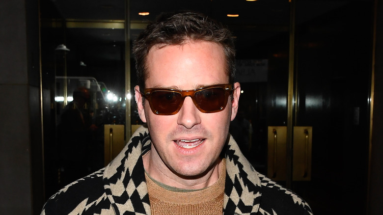 Armie Hammer porte des lunettes de soleil teintées, une veste à motifs et un pull marron clair